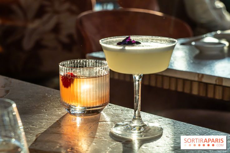 Kinugawa Rive Gauche à Paris, le restaurant en rooftop de l'Hôtel Sax - photos