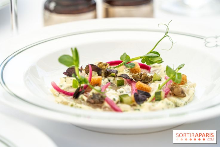 Les Chasses, le restaurant insolite avec une superbe terrasse à l'Abbaye des vaux de Cernay dans les Yvelines - A7C05890