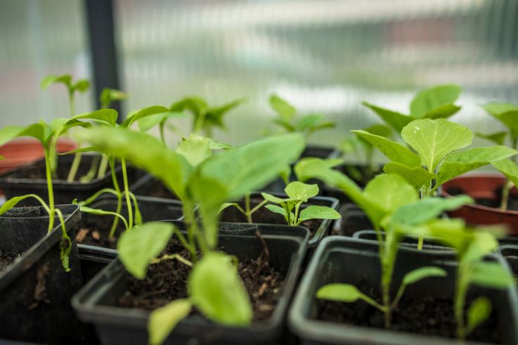 Campagne #1223 - Jardin21 Ateliers LevietPhoto 072025 3139