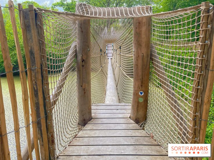 Mission Forêt - IMG 2142