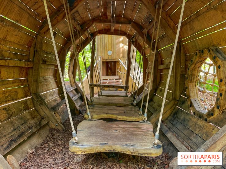 Mission Forêt - IMG 2154