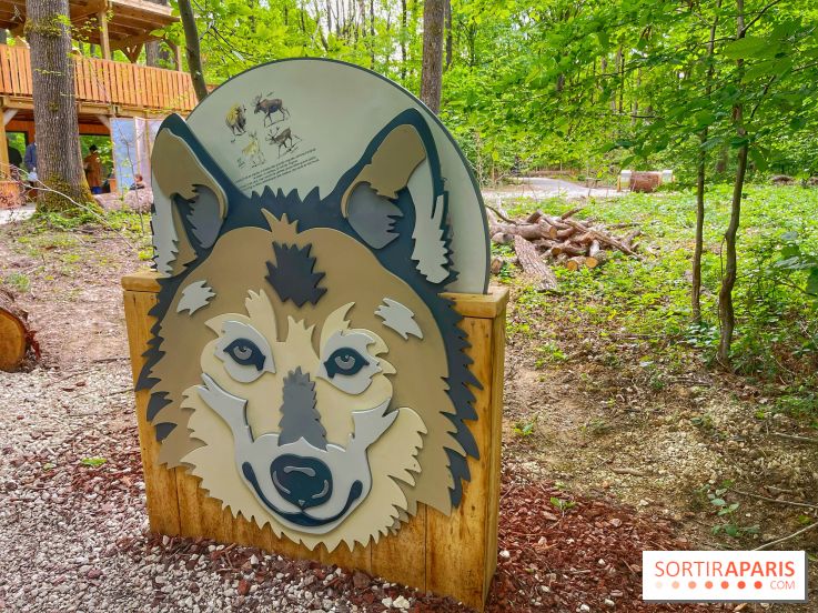 La Forêt des Loups - IMG 2086