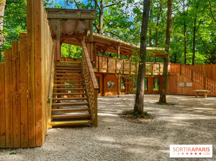 La Forêt des Loups - IMG 2100