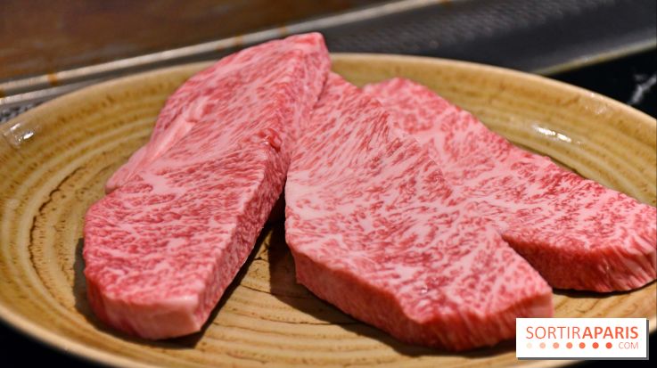 Ayako Paris, le restaurant pour les amoureux du Teppanyaki - Fotor