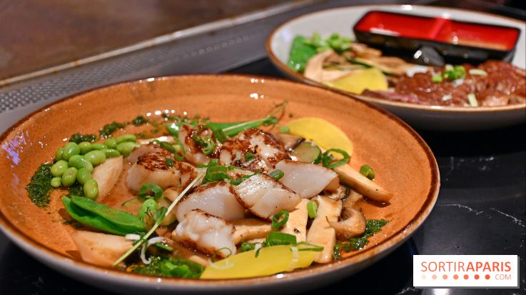 Ayako Paris, le restaurant pour les amoureux du Teppanyaki - Fotor