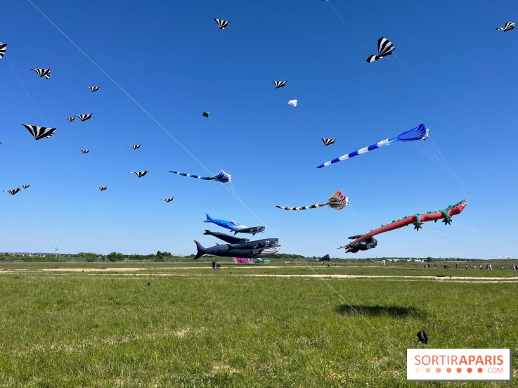 Festival de Cerfs-Volants à la Base 217 - IMG 2190