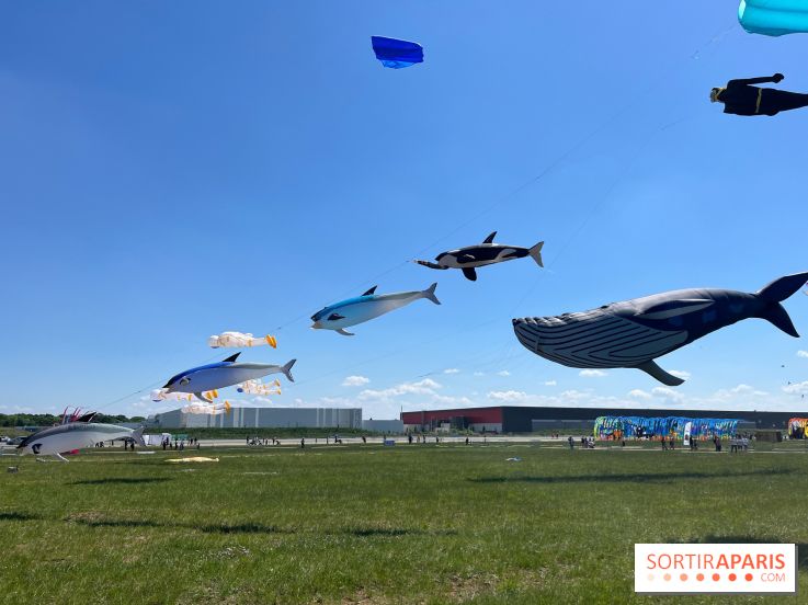 Festival de Cerfs-Volants à la Base 217