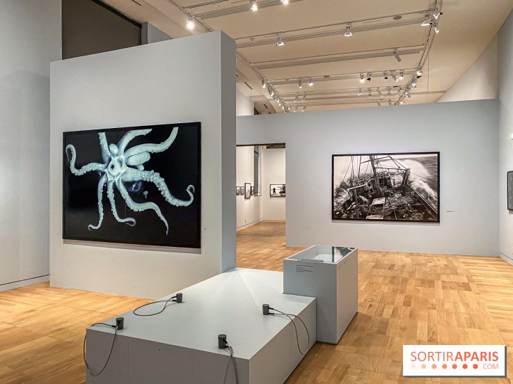 Jean Gaumy et la Mer : l'exposition maritime intimiste au Musée de la Marine - IMG 5478