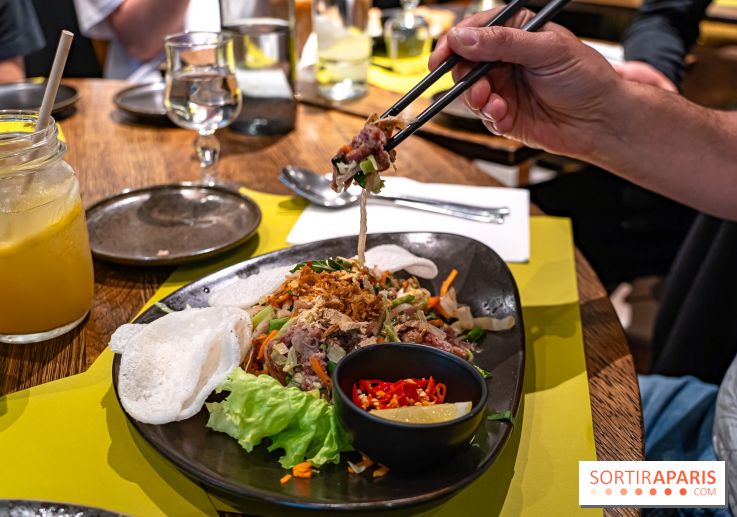 Comme au Vietnam, restaurant vietnamien Paris 13e - salade de boeuf