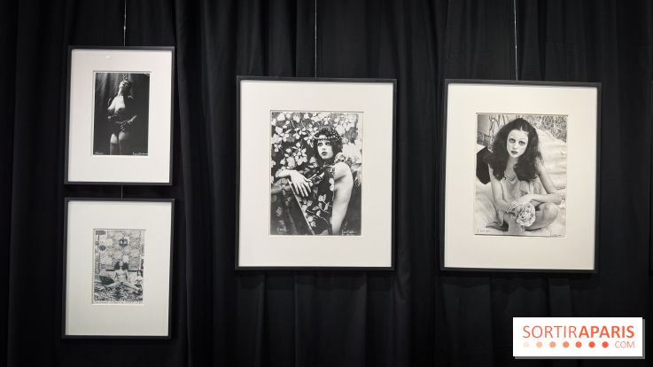 La Bête Humaine : Salon de tatouage - IMG 4891 jpg