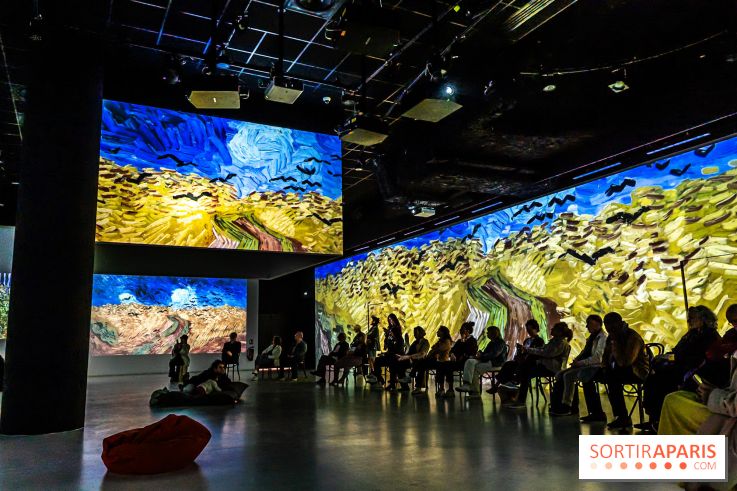 Exposition Van Gogh, les derniers voyages - photos