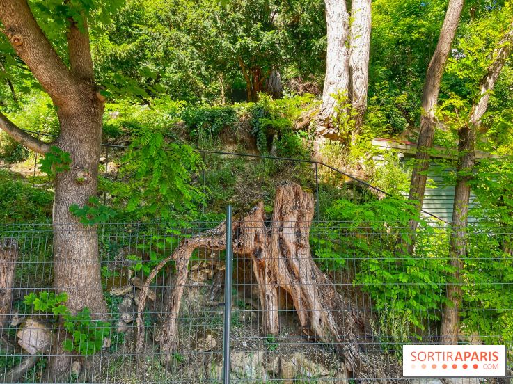 Encore plus d'Auvers-sur-Oise - IMG 2399