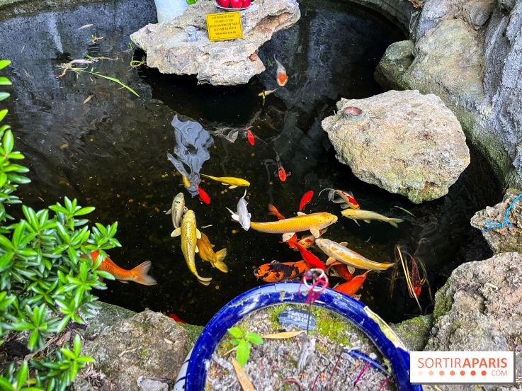 La pagode Trúc Lâm Thiền Viện - nos photos