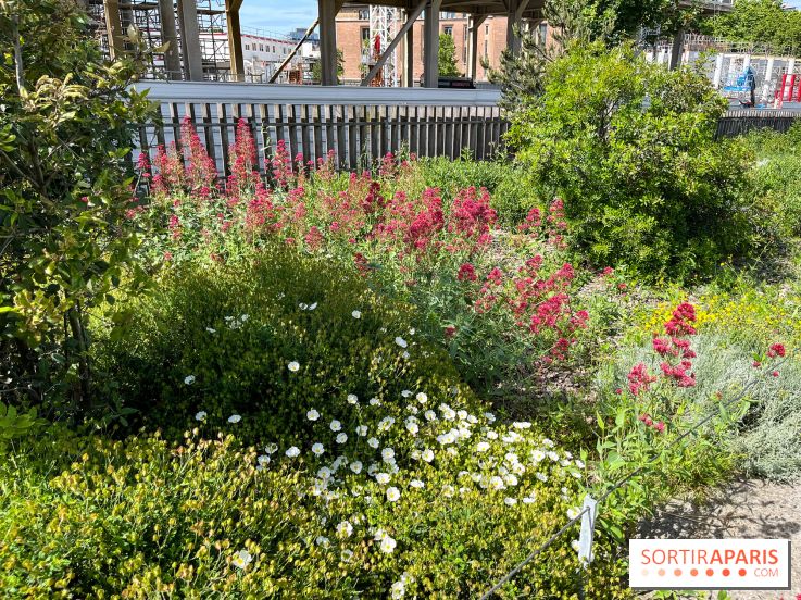 Jardin Anna Marly - nos photos
