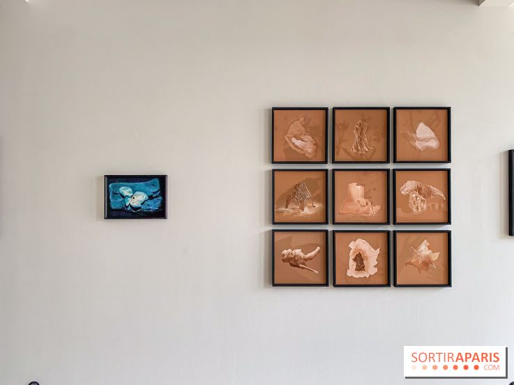 Exposition de Fred Atlan à la galerie Rachel Hardouin : au creux de mes paupières