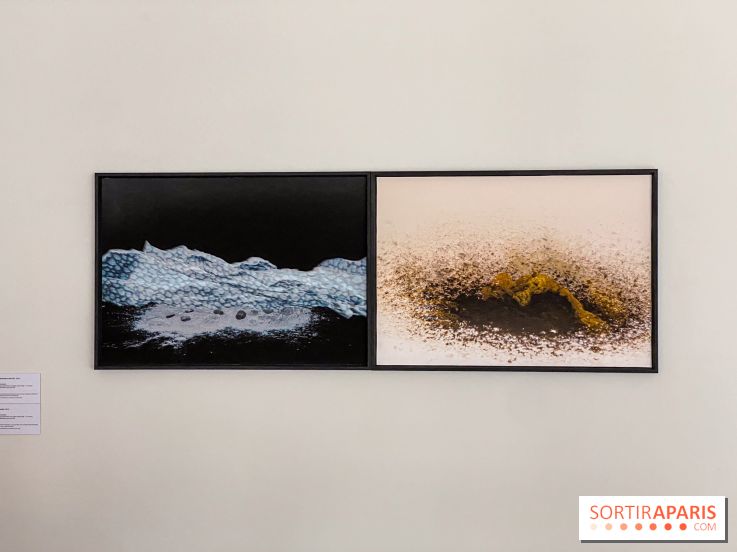 Exposition de Fred Atlan à la galerie Rachel Hardouin : au creux de mes paupières