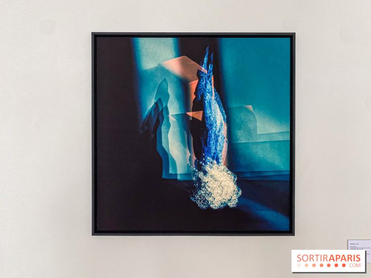 Exposition de Fred Atlan à la galerie Rachel Hardouin : au creux de mes paupières