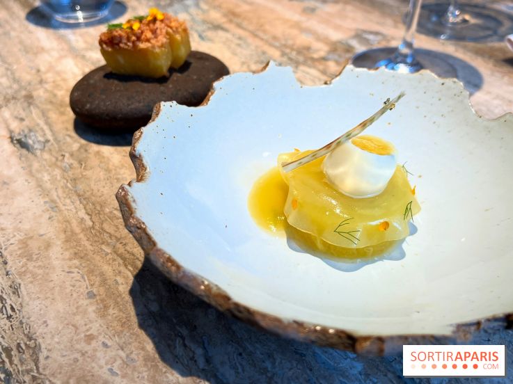 Restaurant Alan Geaam - L'Ananas Victoria Arak, fenouil, pignon de pain