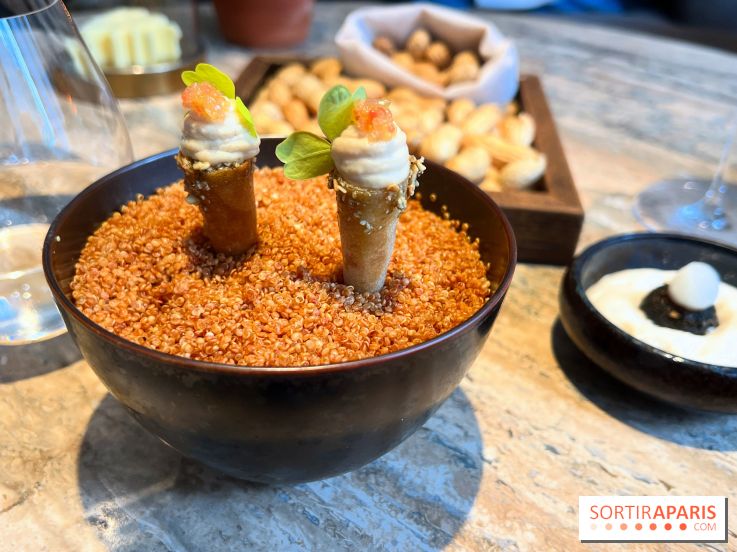 Restaurant Alan Geaam - Houmous, citron caviar, praliné graine de courge