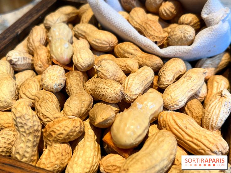 Restaurant Alan Geaam - Cacahuète au foie gras, combava, piment de cayenne