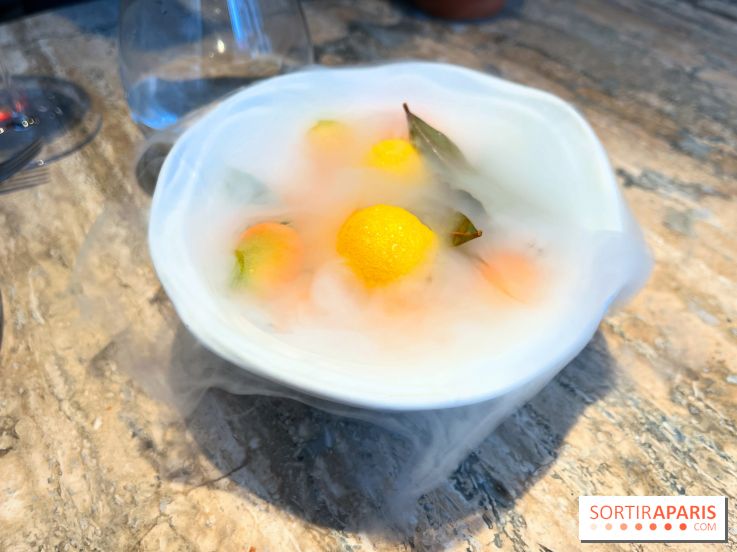 Restaurant Alan Geaam - Citron à l'azote