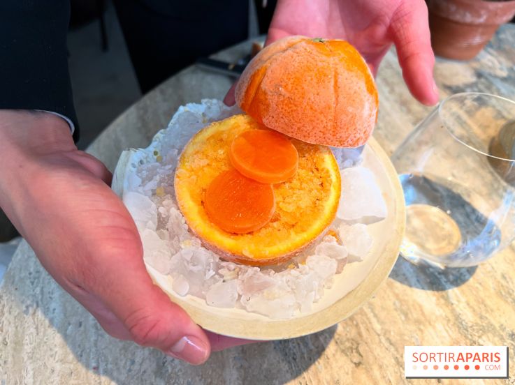 Restaurant Alan Geaam - Fraicheur givrée d'agrumes