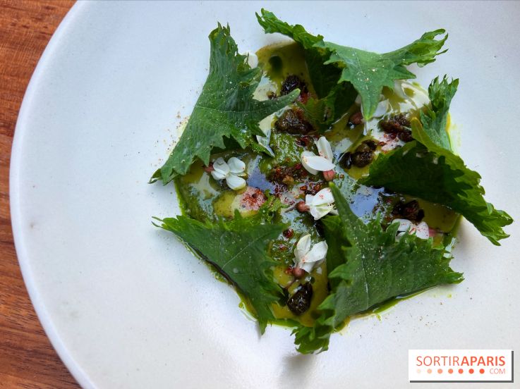 Pantobaguette - Ravioles de shiso ricotta fumée