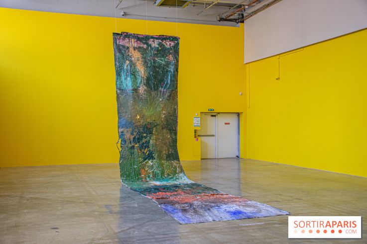 Exposition Disco de Vivan Sutter au Palais de Tokyo - DSC 3067