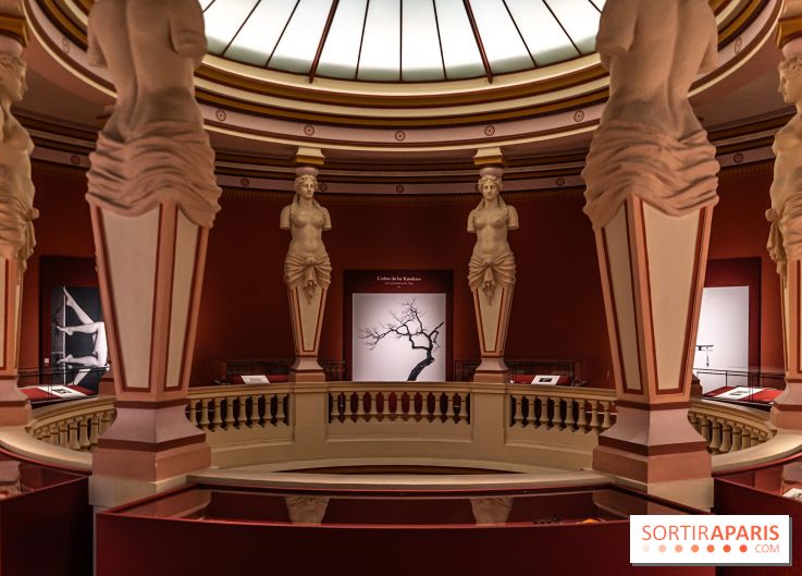 Han Rooftop, le rooftop du Musée Guimet en mode Coréenne - A7C02201