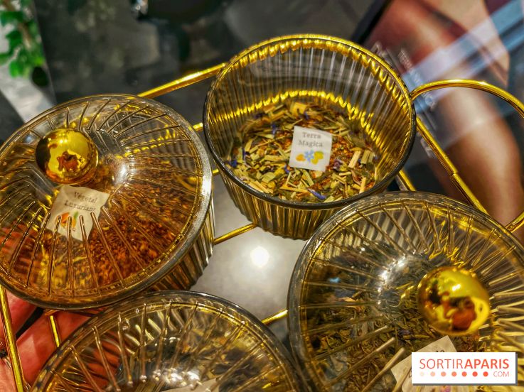 Hôtel et spa Belmont - IMG 3129