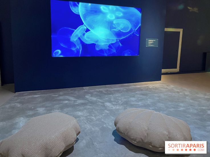 Transparence au Palais des enfants - nos photos - A9C8FEA1 98EA 4475 B97F A6EDF86F4C96