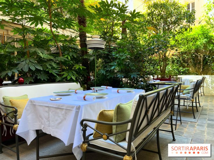 Patio terrasse La Réserve Paris - Terrasse