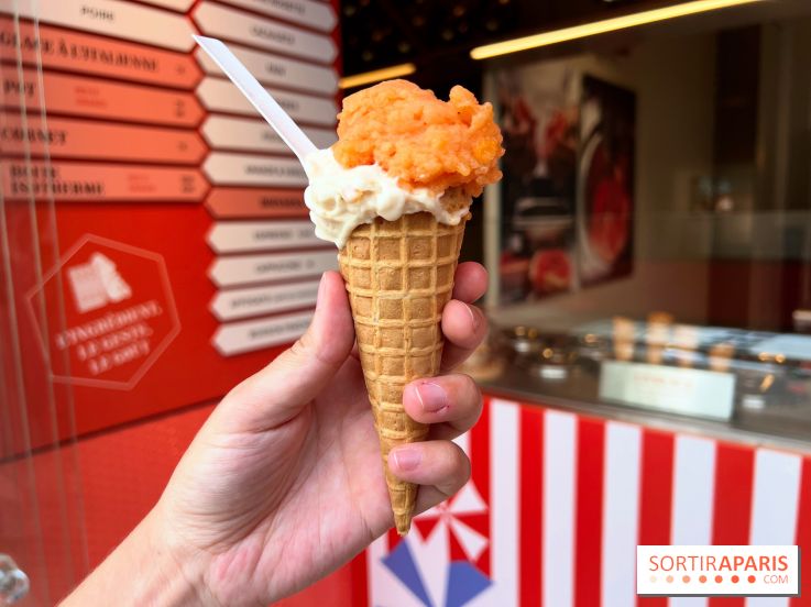 La Glace Alain Ducasse - Sorbet pamplemousse-vermouth, glace cacahuètes