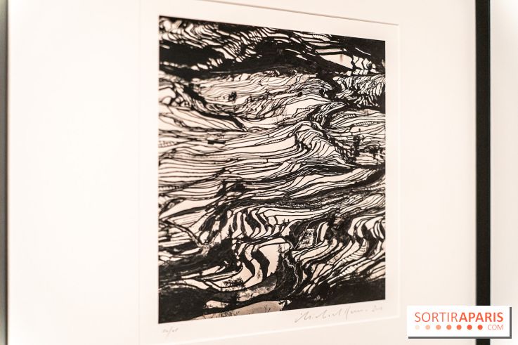 Exposition Haïkus d’argent, l’Asie photographiée par Michael Kenna au MuséeGuimet, les photos - A7C02222