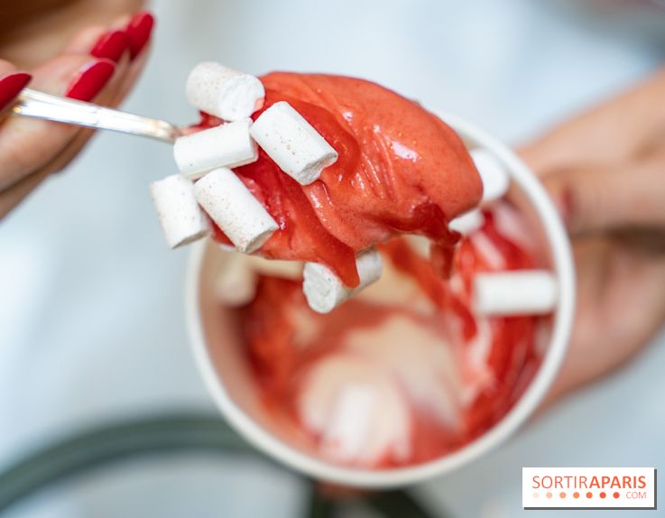 Les glaces gourmandes de l'Épicerie du Bristol - les photos - A7C03271