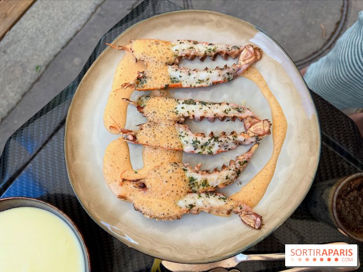 Divellec - Langoustines grillées