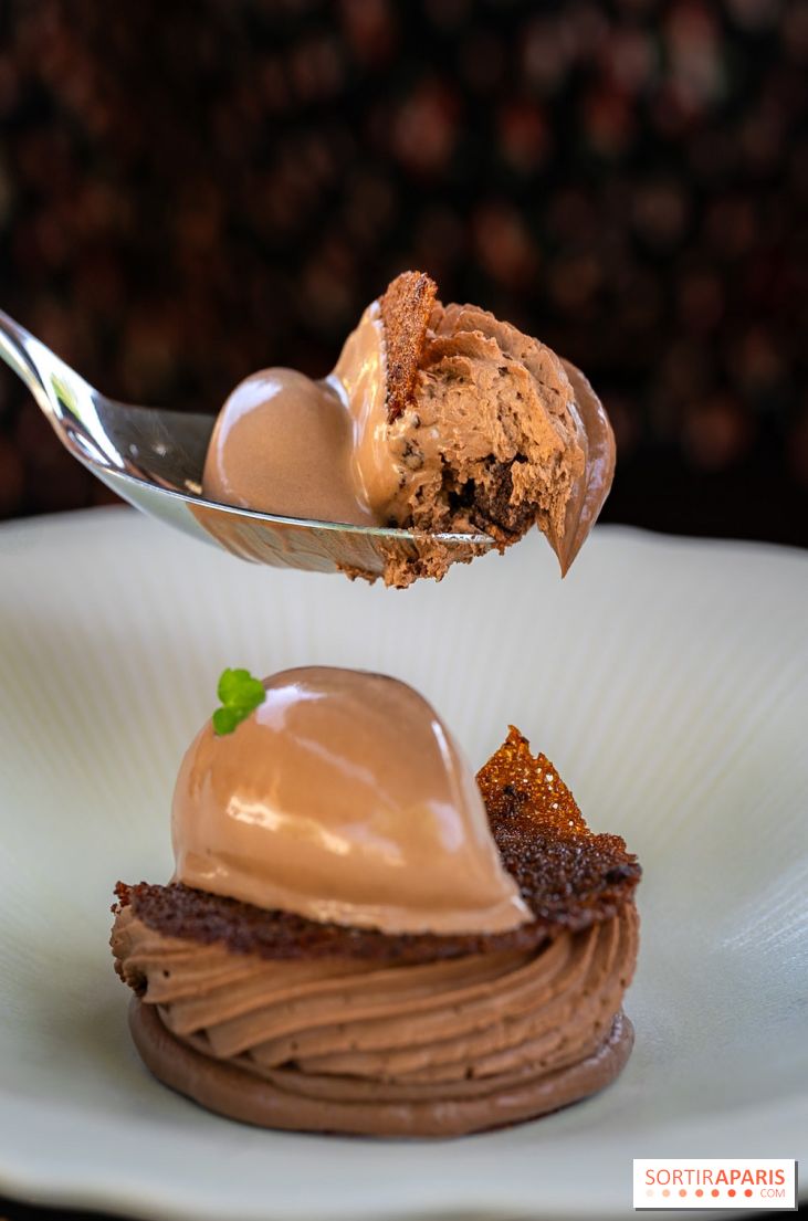 Restaurant Papylles à Bois-le-Roi - les photos - Le chocolat 66% Nicolas Berger En texture et en crémeux, praliné au grué de cacao, sorbet chocolat