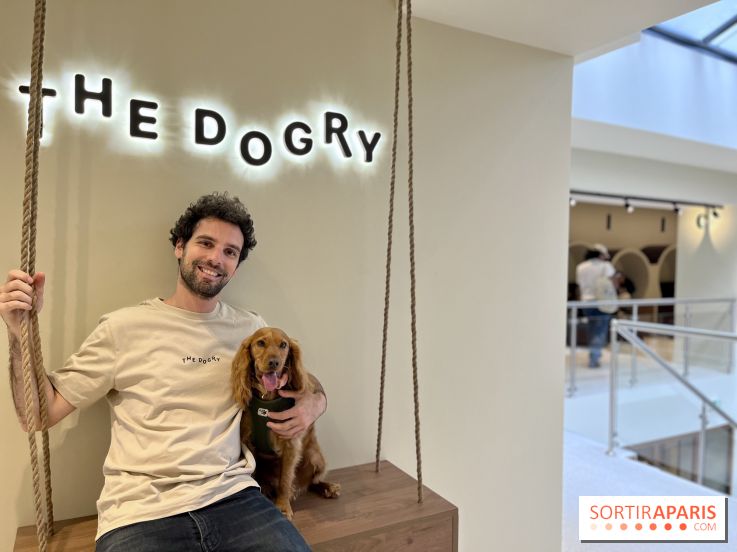 The Dogry