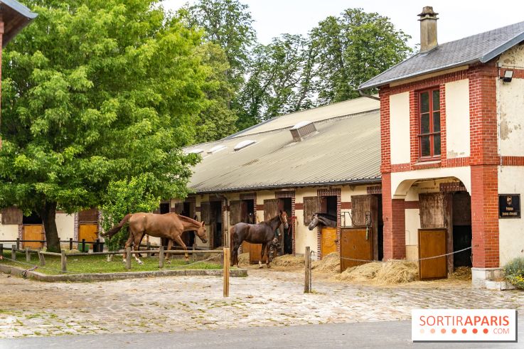 Visite guidée de l'École Mlitaire d'Équitation