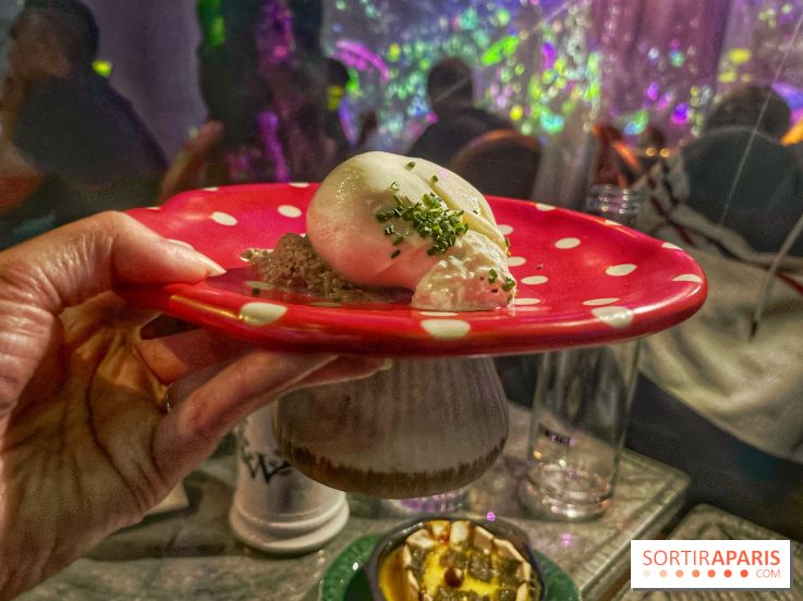 Wonderwoods - IMG 3707