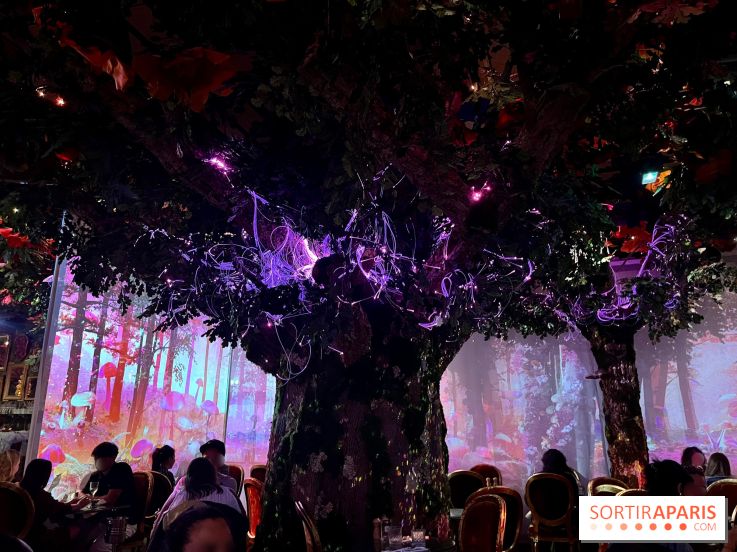 Wonderwoods