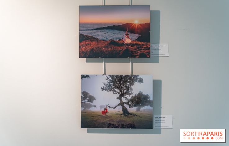 Exposition Dancing the Earth au Couvent de l'Annonciation Paris 8e