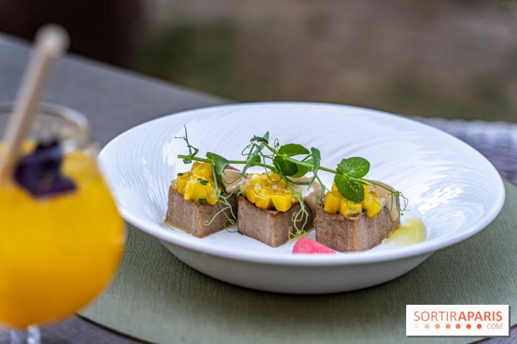 Le Jardin du Trianon, la terrasse d'été du Trianon Palace en mode Street Food chic - A7C05003