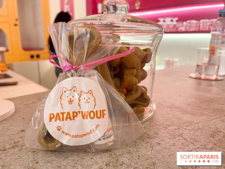 Patapwouf, le spot cani-friendly de Saint-Ouen - nos photos - CBA74623 0EBE 44FA 9FFF 1E1D19587CD5