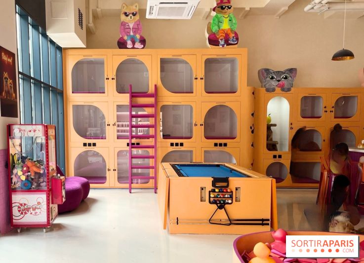 Patapwouf, le spot cani-friendly de Saint-Ouen - nos photos - E7F868A7 A82B 4EE0 8E78 092C9C69CFA4