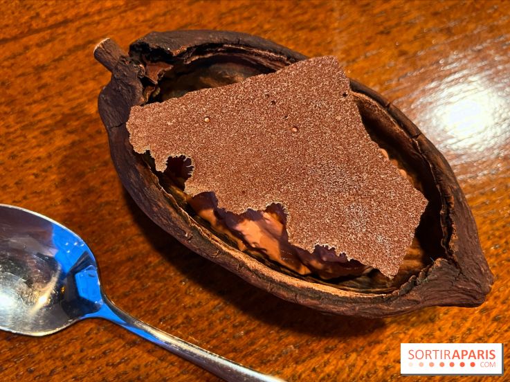 Machizo - Mousse chocolat, glace estragon