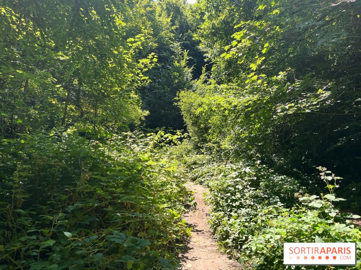 Paris-Rambouillet à pied - nos photos - 93669666 586D 4C43 B749 B8A3DD96A086