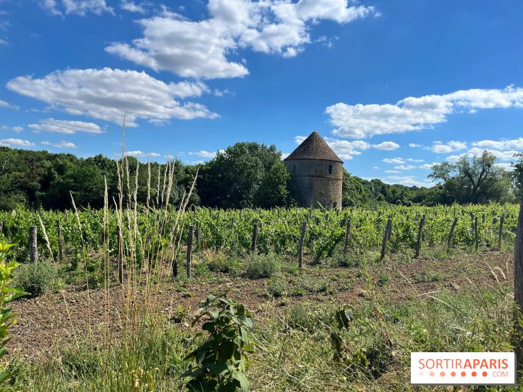 Paris-Rambouillet à pied - nos photos - 50F1D405 06A3 4B1F B8FC CD3BDB65BAC0