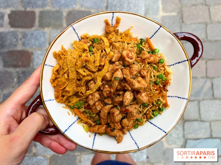 Ti Dodo Gourmand - Karay riz frit poulet