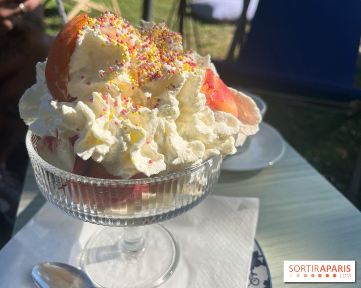 La guinguette des Bords de Marne - nos photos - 332B7959 DA91 4BF4 AF31 3234D94F8CBF